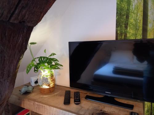 TV de pantalla plana sobre una mesa de madera con una planta en La Cascade et des Halles, en Dijon