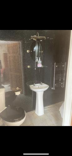 ein Badezimmer mit einem Waschbecken, einem Spiegel und einem WC in der Unterkunft Haven of Trees - Hafan Y Coed in Abercraf
