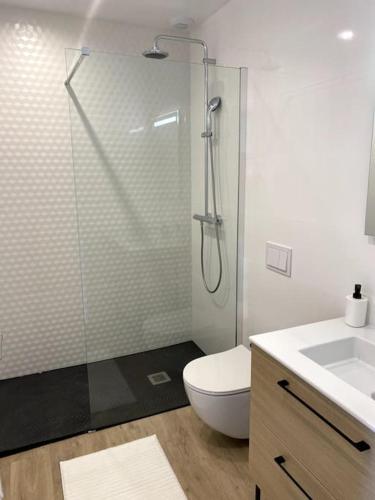une salle de bain avec une douche, des toilettes et un lavabo dans l'établissement Charmant studio 1, à Menton