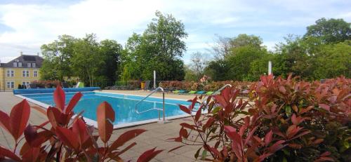 a swimming pool with red plants in front of it at Éden apartman in Balatonföldvár