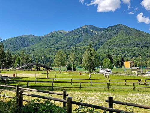 Fotografie z fotogalerie ubytování Camping la Pineta v destinaci Santa Maria Maggiore