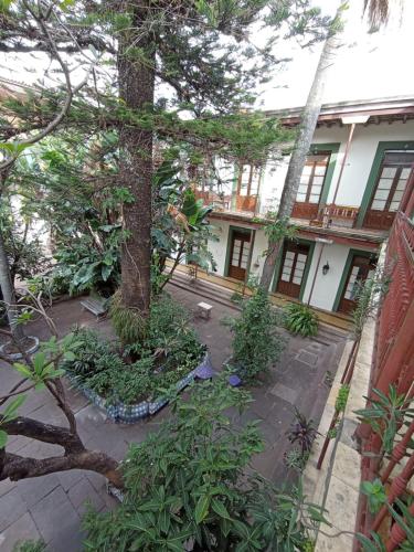 a courtyard with a tree in front of a building at Gran Hotel Concordia in Salto