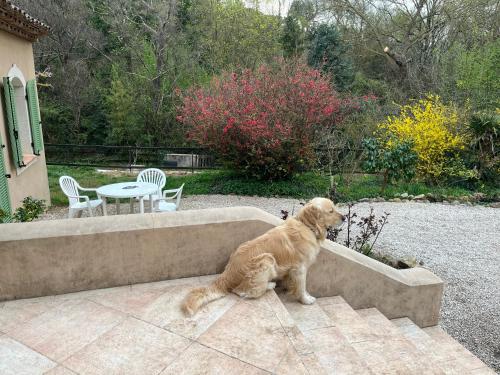 Foto Bastide Du Maoupas Gîtes 6