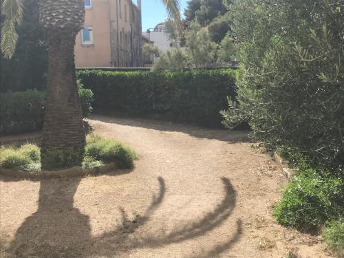 a shadow of a palm tree in a garden at Blue Summer Vibes - Apartment 5 - AC, parking, beach at 50m, SPA discnt in La Ciotat