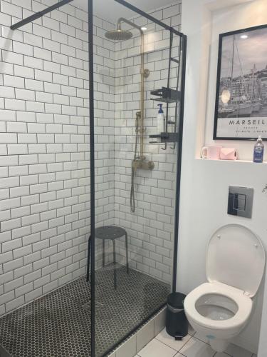 La salle de bains est pourvue d'une douche et de toilettes. dans l'établissement Bel appartement au cœur de Marseille, à Marseille