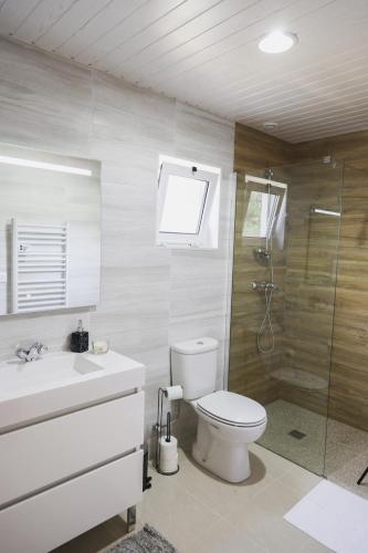 a bathroom with a toilet and a shower and a sink at Casa Vilar in Ponte de Lima