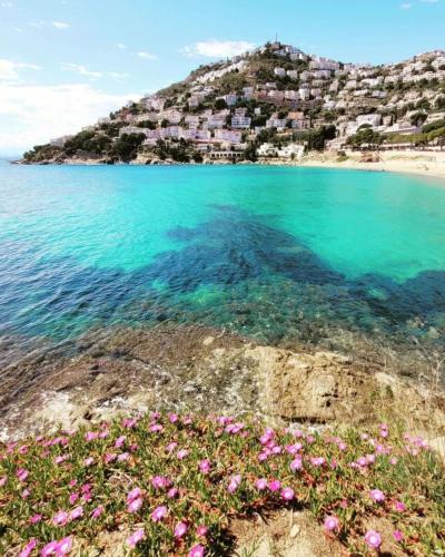 a group of flowers on the shore of a beach at Mimoses B 2 Canyelles Roses - Immo Barneda in Montjoys
