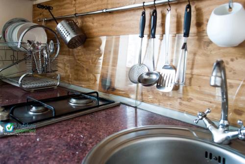 a kitchen counter with a sink and utensils on a wall at Central District Apartments in Kharkiv