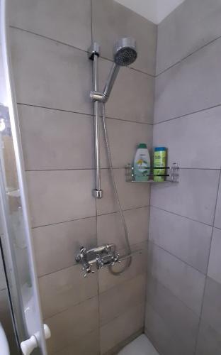 a bathroom with a shower and a toilet at Dennis Apartment in Olympiaki Akti