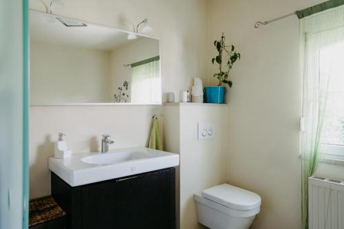a bathroom with a sink and a toilet and a mirror at Ferienhaus Ricki in Rust