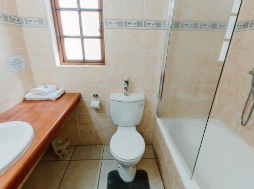 a bathroom with a toilet and a shower and a sink at Golden Candle Guest House in Roodepoort