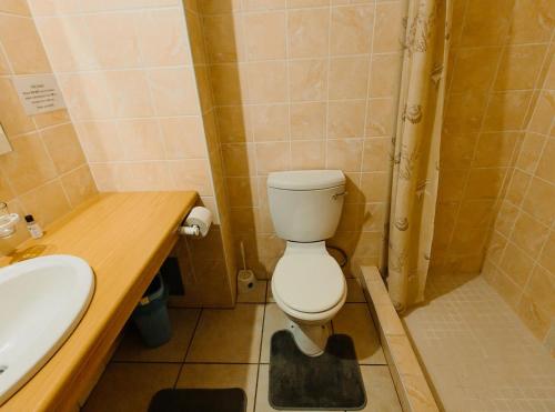 a bathroom with a toilet and a sink at Golden Candle Guest House in Roodepoort