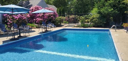 a swimming pool with blue water and purple flowers at The Platinum Pebble Boutique Inn - Adults Only Property in Harwich Port