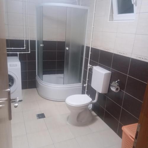 a bathroom with a toilet and a shower at Apartments Avramovic in Žabljak