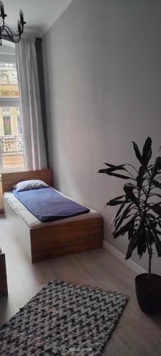 a bedroom with a bed and a potted plant at Lovely apartment on Dyrekcyjna street! In the very center of Katowice! in Katowice