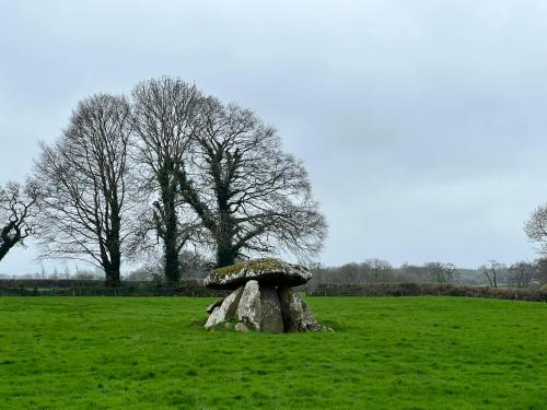 a rock in a field with trees in the background at The Wandering Donkey Guest House in Carlow