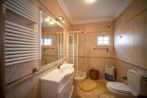 a bathroom with a sink and a toilet and a shower at A típica casa de férias in Parchal