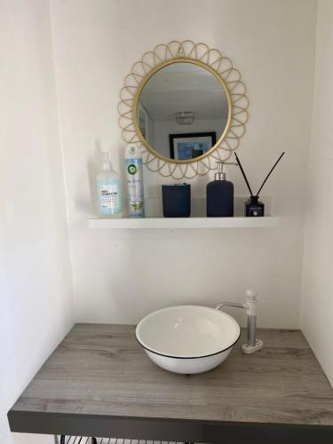 ein Badezimmer mit einem Waschbecken und einem Spiegel in der Unterkunft Stuga på Öland in Algutsrum