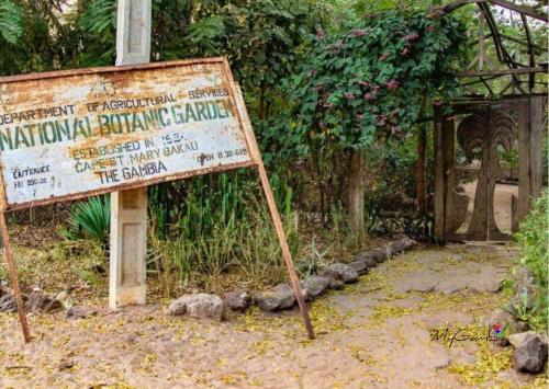 Jardín al aire libre en Lovely 13-Bed Complex on Cape Point Beach Bakau - Bojang River Lodge
