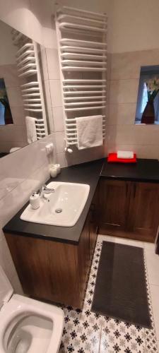a bathroom with a sink and a toilet at Lovely apartment on Dyrekcyjna street! In the very center of Katowice! in Katowice