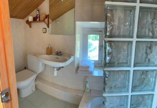 uma casa de banho com um lavatório, um WC e um espelho. em Petit estudi em Ribes de Freser