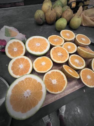 a bunch of grapefruit cut in half on a table at El Filito in San JosÃ©