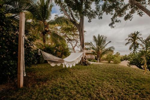 a hammock hanging from a tree in a yard at Sansara Surf Yoga & Resort in Cambutal