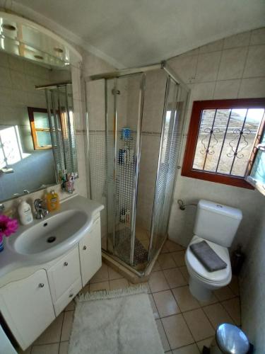 a bathroom with a shower and a sink and a toilet at Orizontas Pilio Villa in Kissós