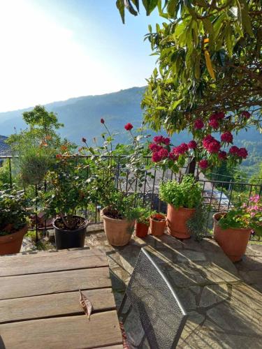 a bird sitting on a wooden bench with potted plants at Orizontas Pilio Villa in Kissós