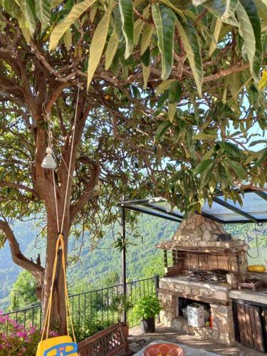 a tree and a stone grill with a tree at Orizontas Pilio Villa in Kissós