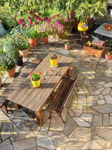 einen hölzernen Picknicktisch mit Topfpflanzen auf einer Terrasse in der Unterkunft Orizontas Pilio Villa in Kissos