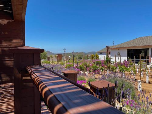 a garden with purple flowers next to a house at Entrevalle Hotel Boutique in Valle de Guadalupe