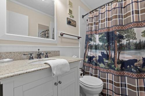 a bathroom with a toilet and a shower curtain at Bear Cub Retreat in Gatlinburg
