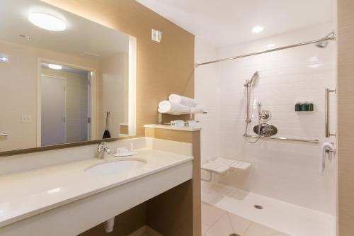 ein Badezimmer mit einem Waschbecken, einem WC und einem Spiegel in der Unterkunft Fairfield Inn & Suites by Marriott Buffalo Amherst/University in Amherst