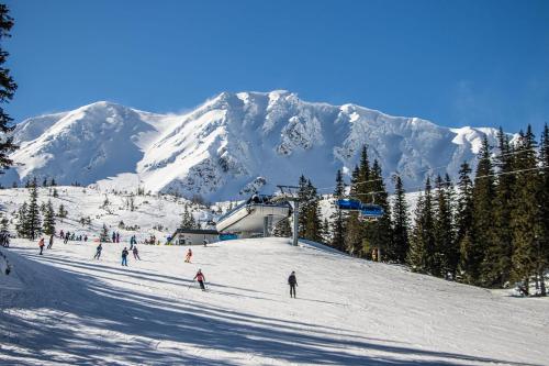 a group of people skiing down a snow covered mountain at Malinovy Sen II in Habovka