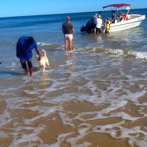 a man walking a dog in the water with a boat at Cytyz Appart Hôtel in Mahajanga