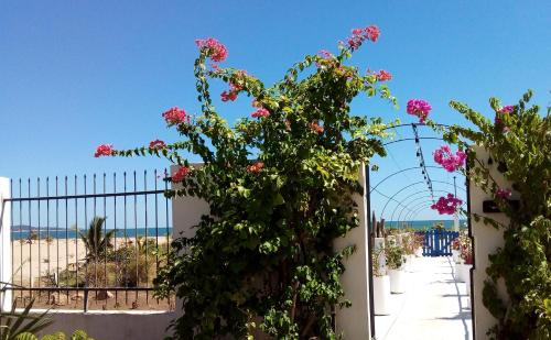 a white fence with pink flowers and the beach at Cytyz Appart Hôtel in Mahajanga