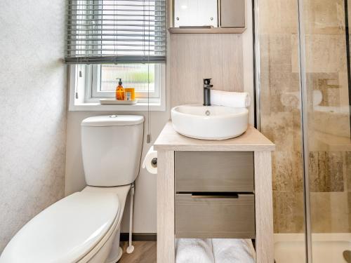 a bathroom with a toilet and a sink and a shower at Pheasant Lodge in Nawton