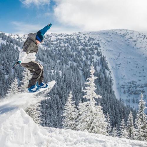 a man riding a snowboard on top of a snow covered mountain at Malinovy Sen II in Habovka