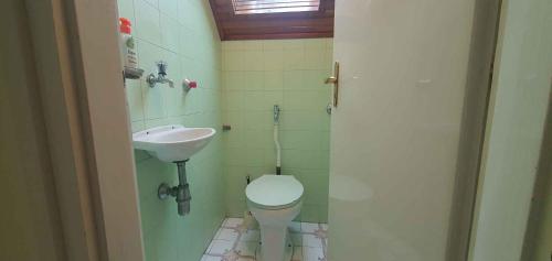 フォニョードにあるApartment in Fonyod/Balaton 18637の小さなバスルーム(トイレ、シンク付)