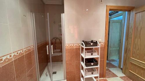 a bathroom with a walk in shower and a glass door at Vivienda rural Saltos de la Osera in Mogón