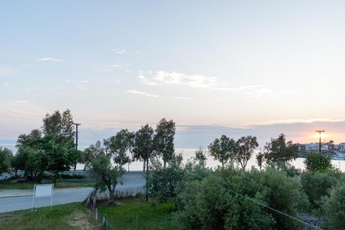a view of a road with trees and a body of water at Orion in Neos Marmaras