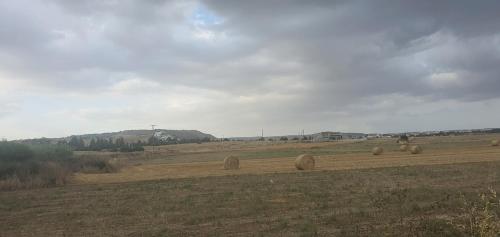 a group of hay bales in a field at STEFARIS PROPERTIES 'sioukris court' in Larnaka