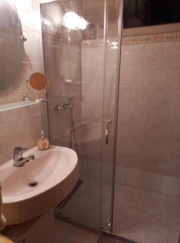 a bathroom with a shower and a sink at Apartma Sabatuš in Bohinj