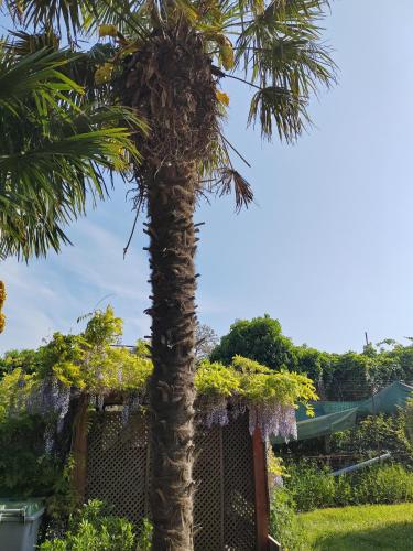 Κήπος έξω από το Chambre d'hôtes Orchidée