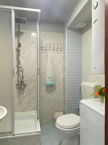 a bathroom with a shower and a toilet and a sink at ANI Apartment in Ohrid