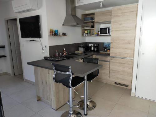 Il comprend une cuisine équipée d'un comptoir noir et d'un réfrigérateur. dans l'établissement Sanguinaires, à Ajaccio