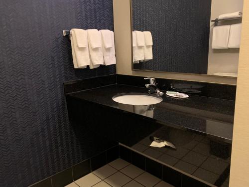 a bathroom with a sink and a mirror at Fairfield Inn & Suites by Marriott Marietta in Marietta