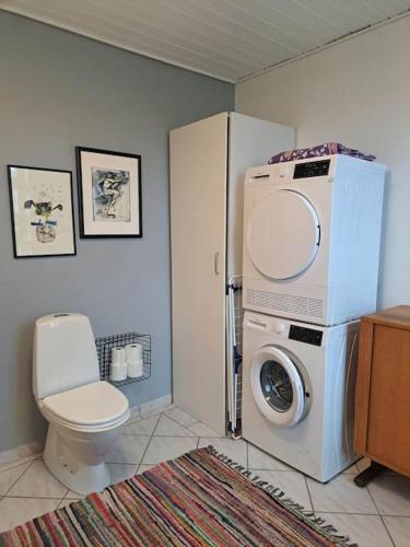 a bathroom with a washing machine and a toilet at Hyggelig ferielejlighed ved Givskud in Give