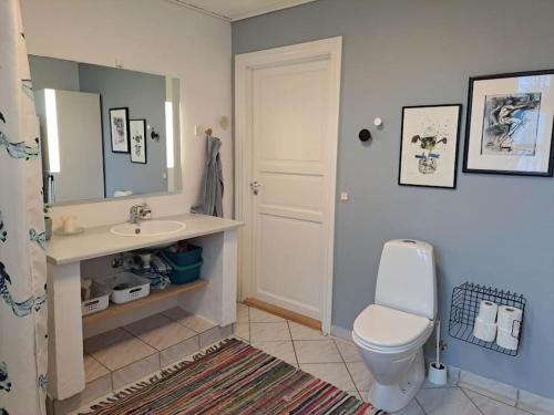 uma casa de banho com um WC branco e um lavatório. em Hyggelig ferielejlighed i Harresø em Give